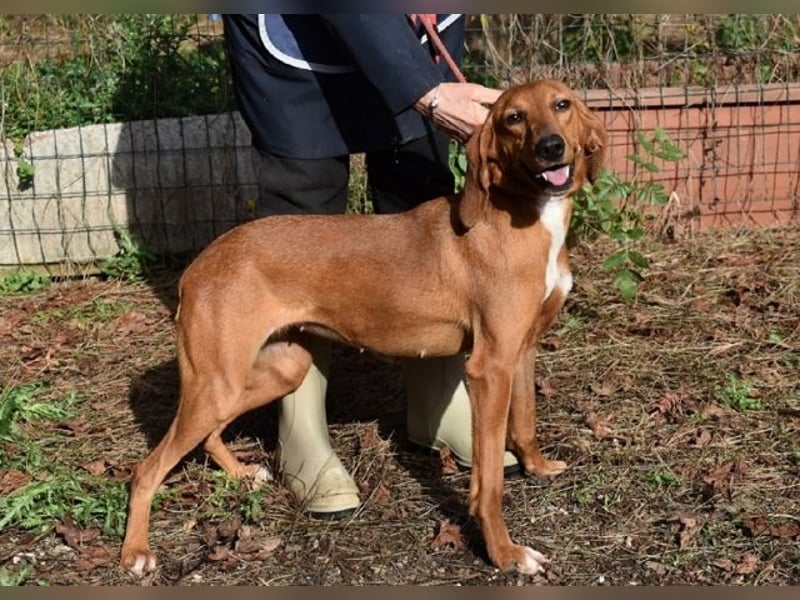 Clotilda - Gemeinsam werden wir sie retten