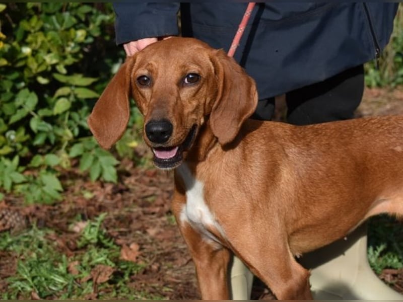 Clotilda - Gemeinsam werden wir sie retten