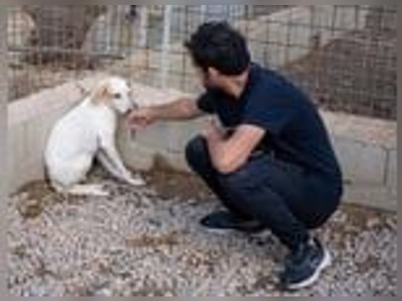 Swarovski- Wenn man kein Vertrauen hat