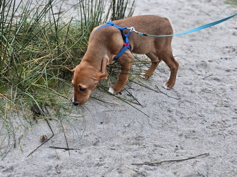 Nala Piccola: kleine Zuckerschnute