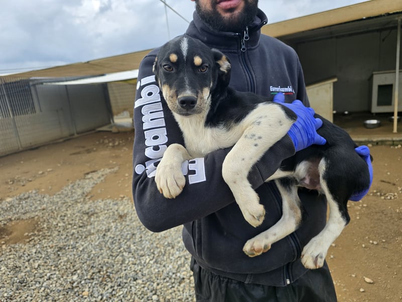 Argo: ein Schatz für die ganze Familie