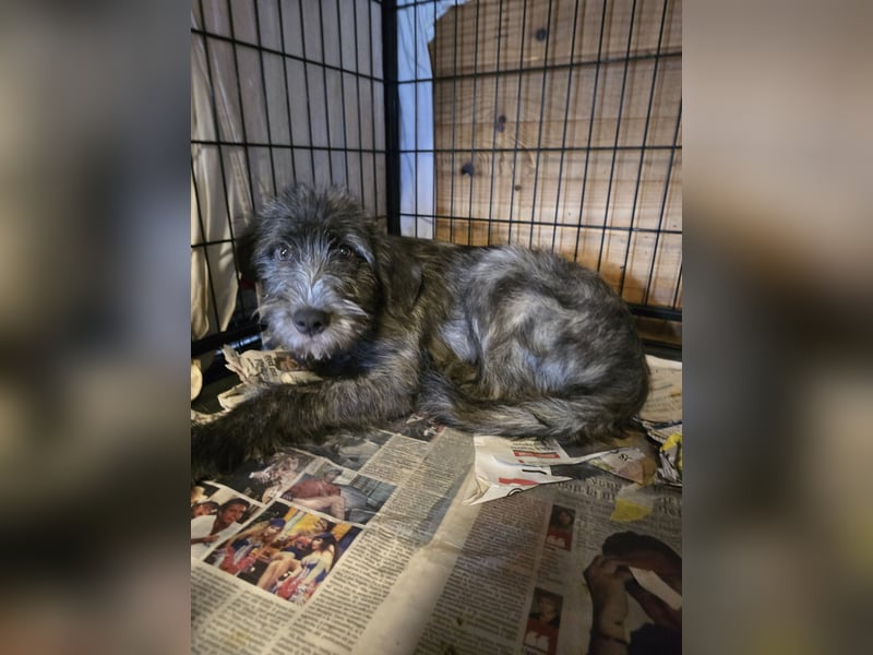 Astra: bereit für ihre eigene Familie