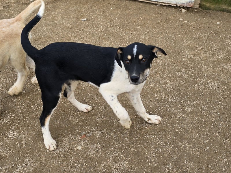 Argo: ein Schatz für die ganze Familie