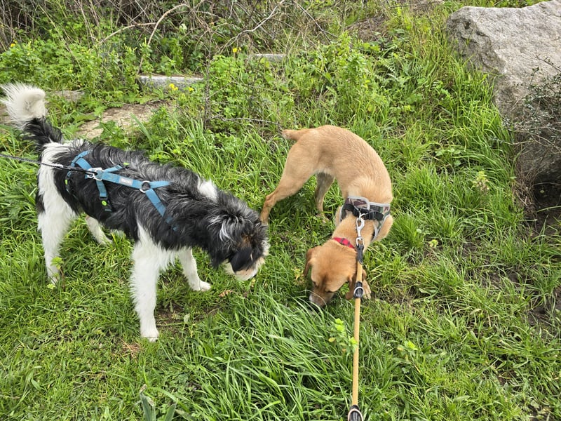 Veneranda: ihr Traum: nie mehr eingesperrt sein