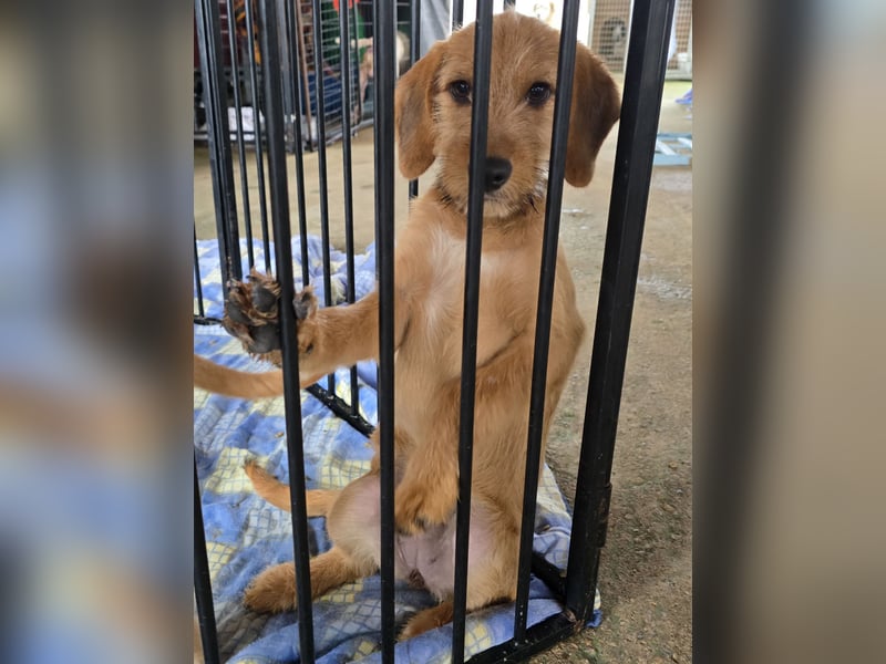 Simona: Lebensfreude pur