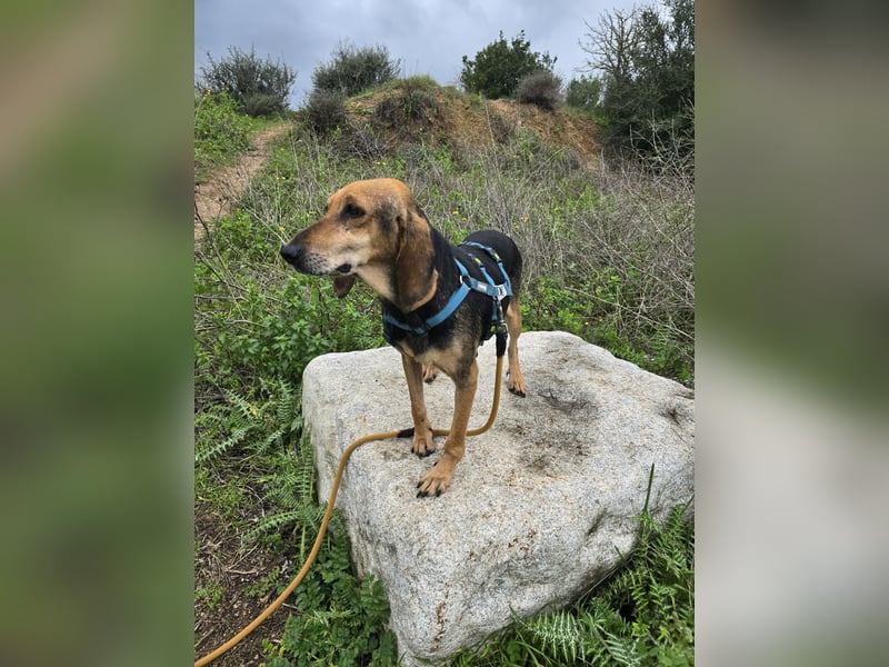 Paoluccia: einmal geliebt werden...