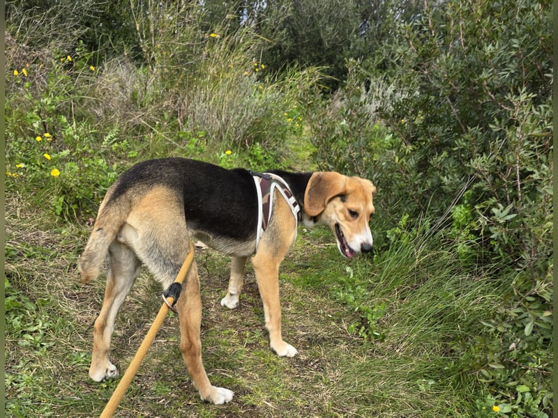 Venere: wird mein Leben bunt und schön?