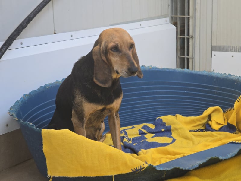 Paoluccia: wird sie noch einmal Geborgenheit spüren?