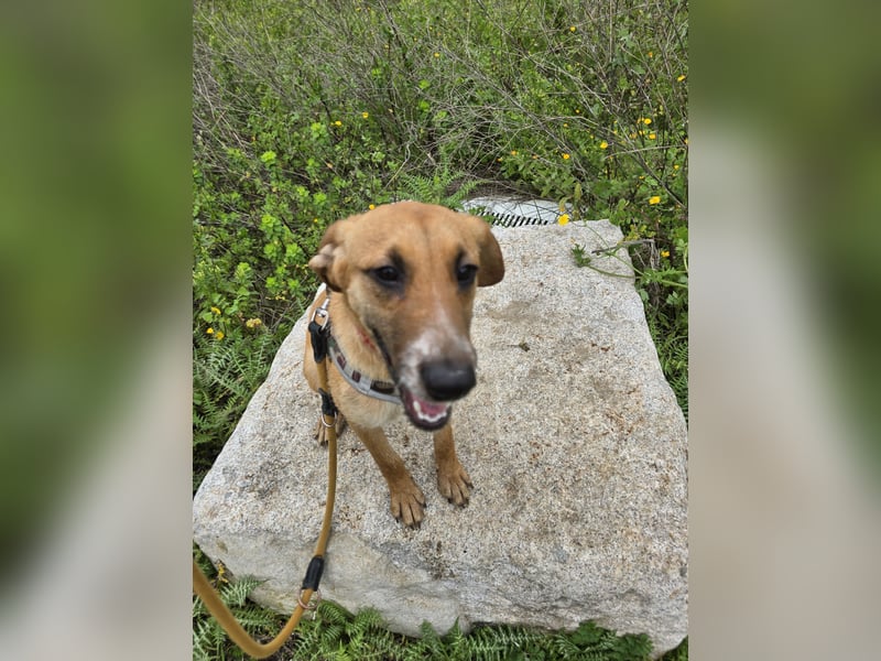 Veneranda: ihr Traum: nie mehr eingesperrt sein