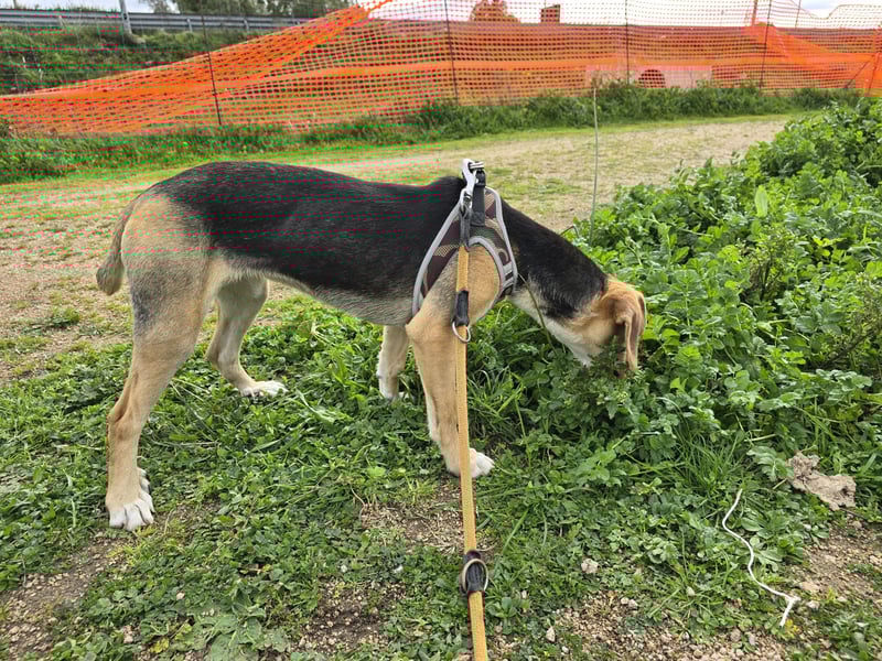 Venere: wird mein Leben bunt und schön?