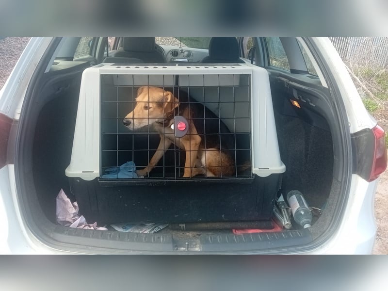 Spenck: wo darf ich hin?