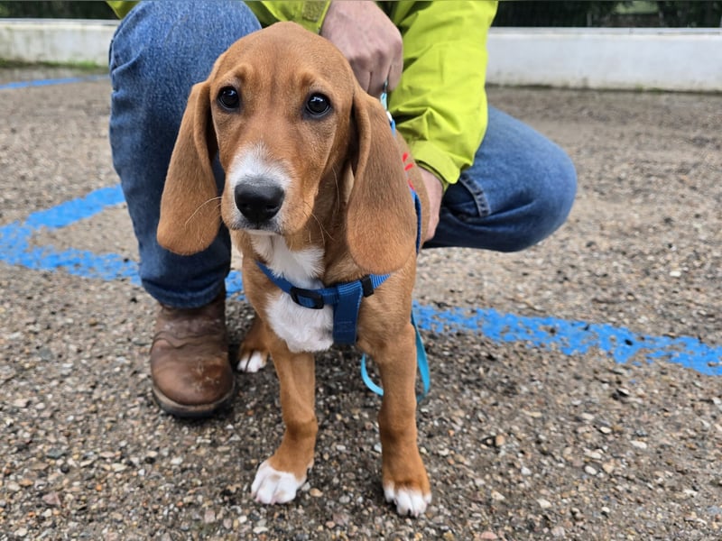 Nala Piccola: kleine Zuckerschnute
