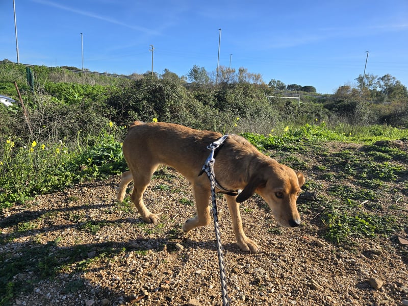 Lilli: sie muss man lieb haben