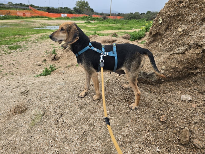 Paoluccia: einmal geliebt werden...