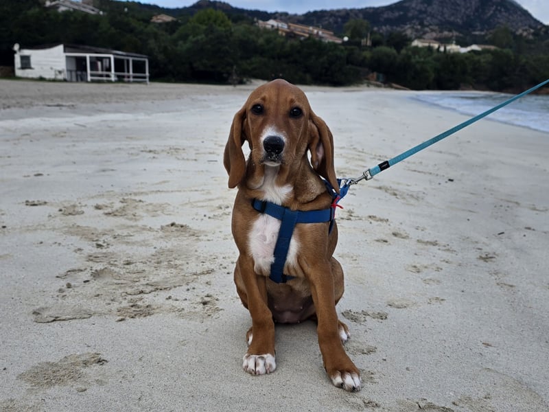 Nala Piccola: kleine Zuckerschnute