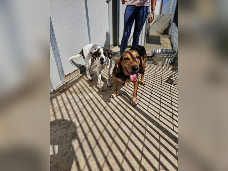 Fine: sie hat ganz viel Liebe zu geben