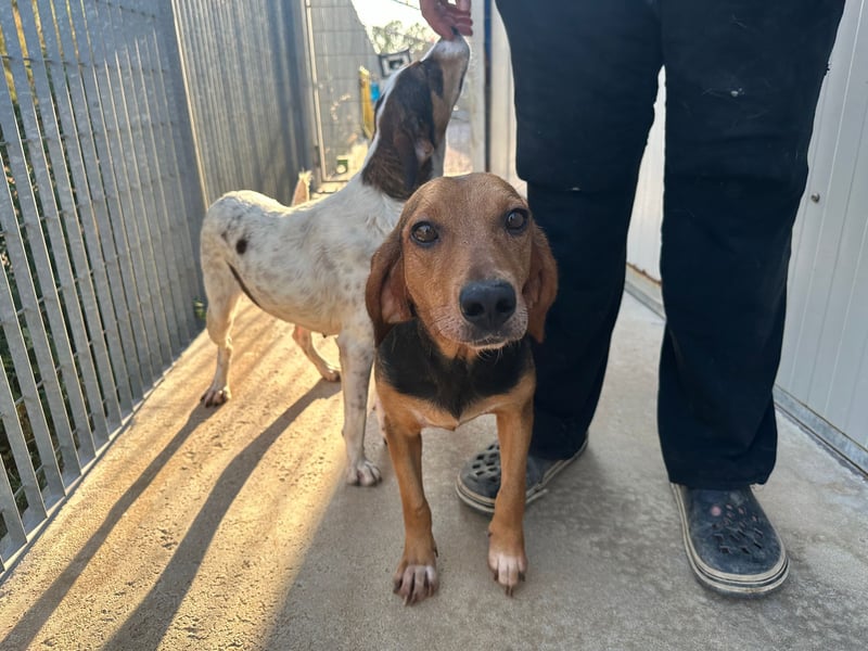 Fine: sie hat ganz viel Liebe zu geben