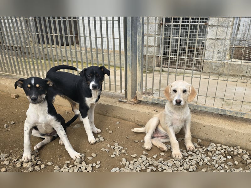 Argo: ein Schatz für die ganze Familie