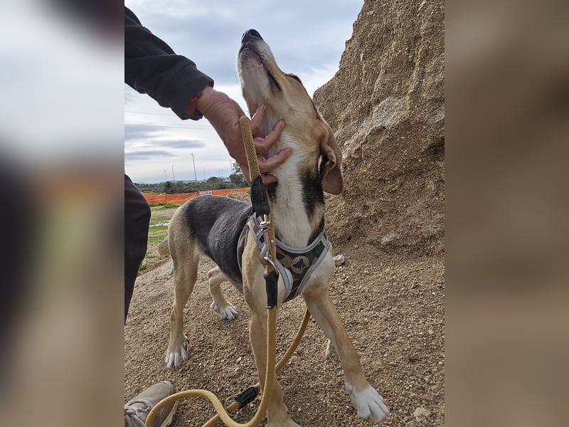 Venere - braucht ganz viel Geborgenheit