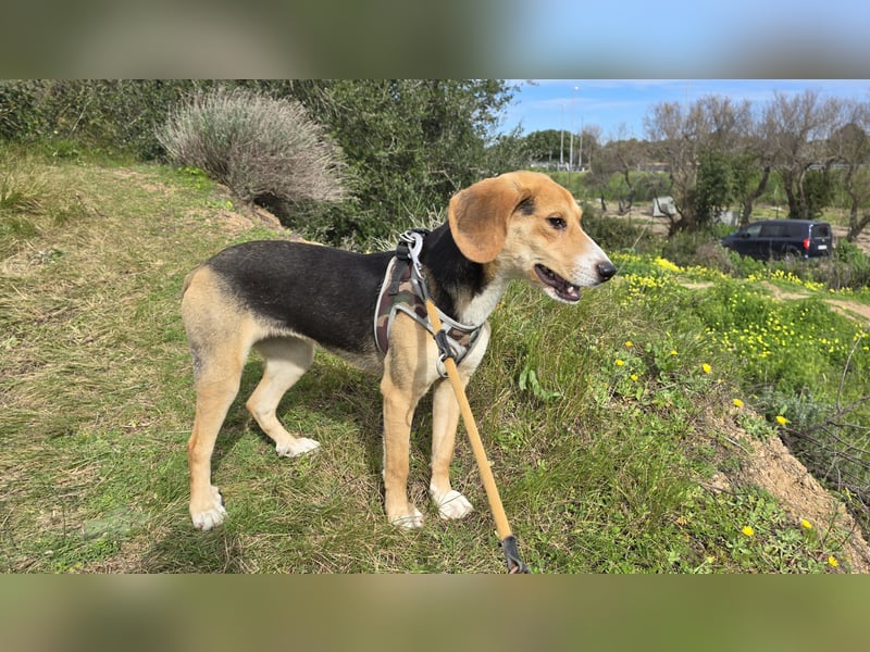 Venere - braucht ganz viel Geborgenheit