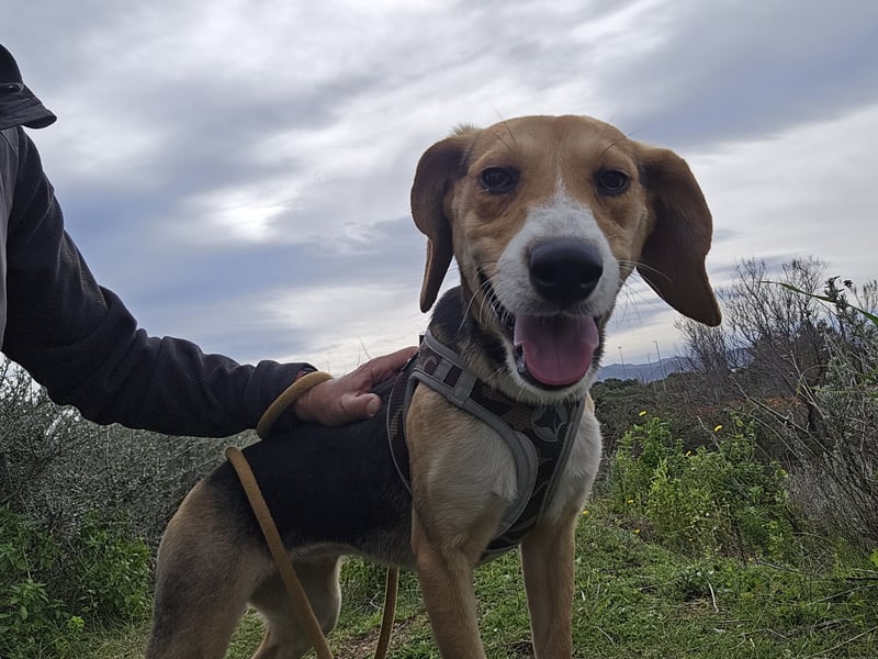Venere: wird mein Leben bunt und schön?