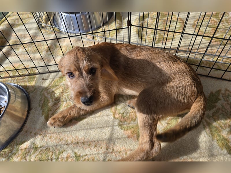 Simona: Lebensfreude pur