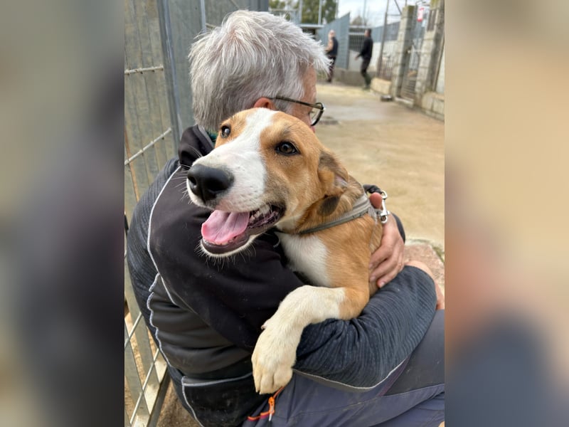 Billie: Hallo, hier bin ich!