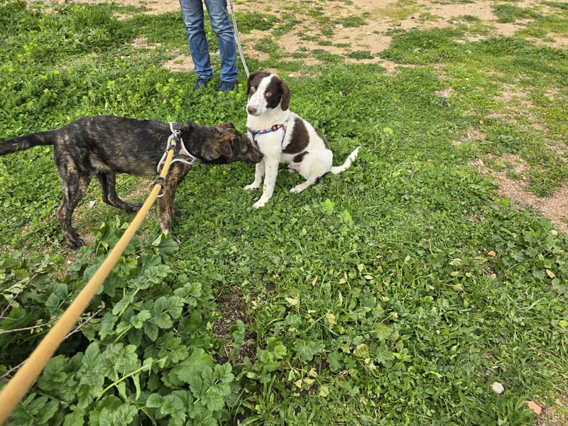 Frieda: ein Schatz für "überall mit dabei"
