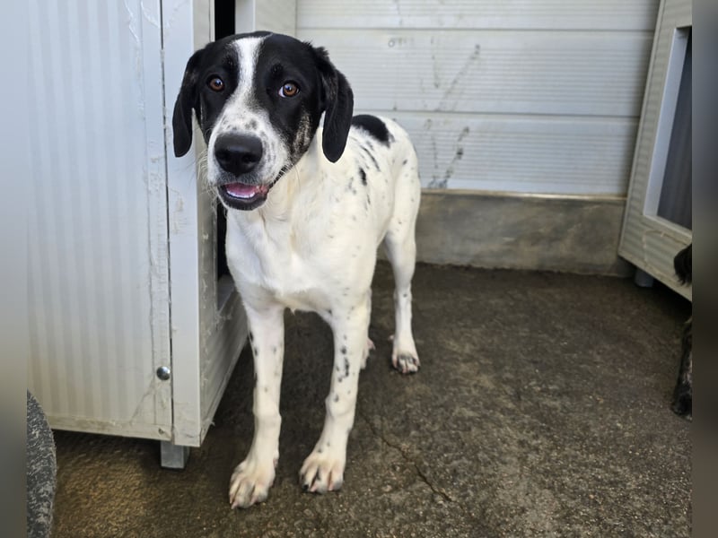 Castagna: sehnt sich nach Freiheit