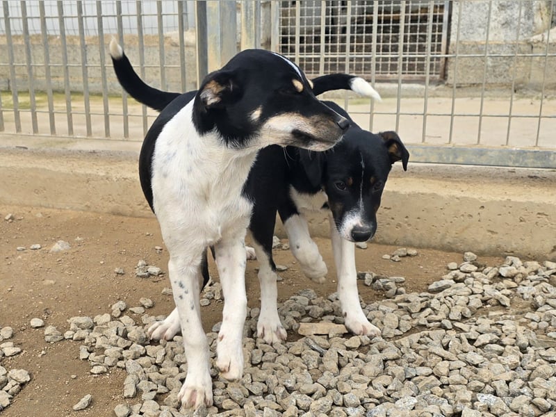 Argo: ein Schatz für die ganze Familie