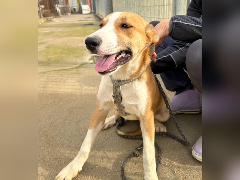 Billie: Hallo, hier bin ich!