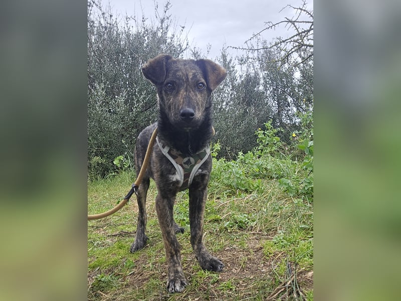 Frieda: ein Schatz für "überall mit dabei"