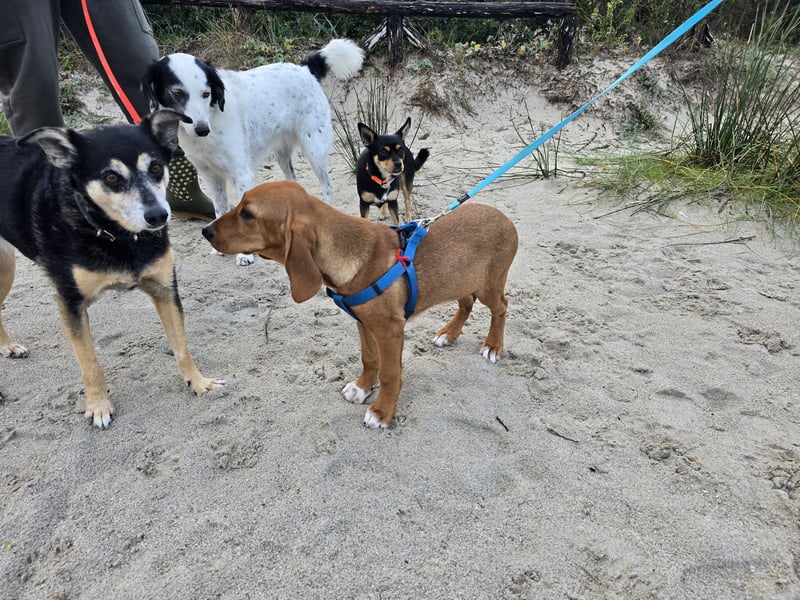 Nala Piccola: kleine Zuckerschnute