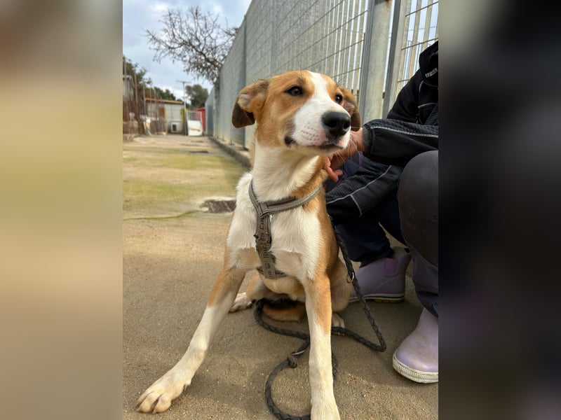 Billie: Hallo, hier bin ich!