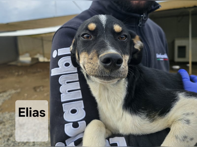 Argo: ein Schatz für die ganze Familie