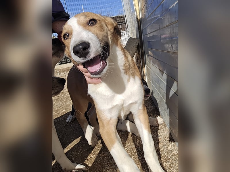 Billie: Hallo, hier bin ich!