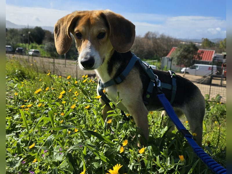Venere - braucht ganz viel Geborgenheit