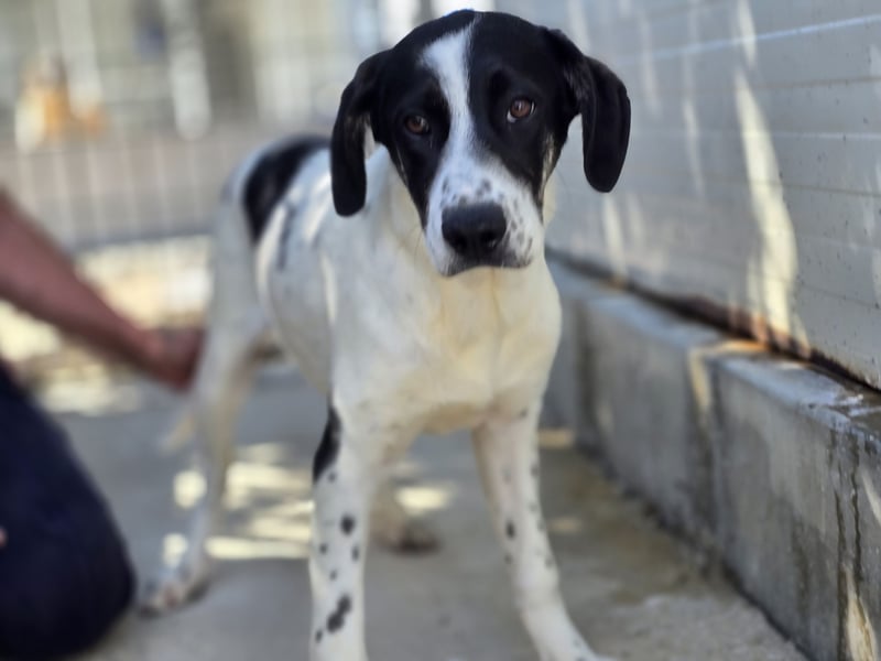 Castagna: sehnt sich nach Freiheit