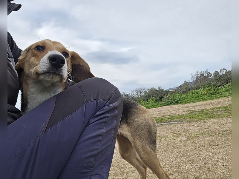 Venere - braucht ganz viel Geborgenheit