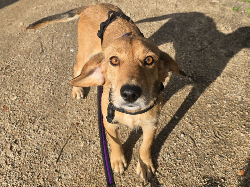 Lilli: sie muss man lieb haben