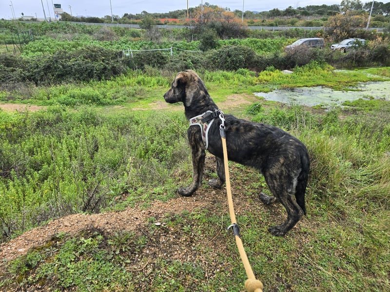 Frieda: ein Schatz für "überall mit dabei"