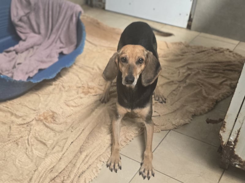 Paoluccia: wird sie noch einmal Geborgenheit spüren?