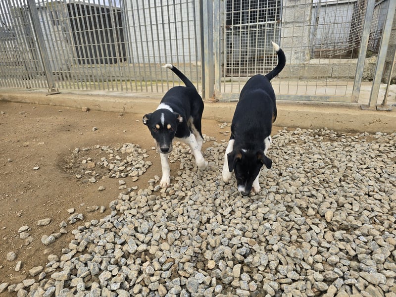 Ebby: ein Schatz für die ganze Familie