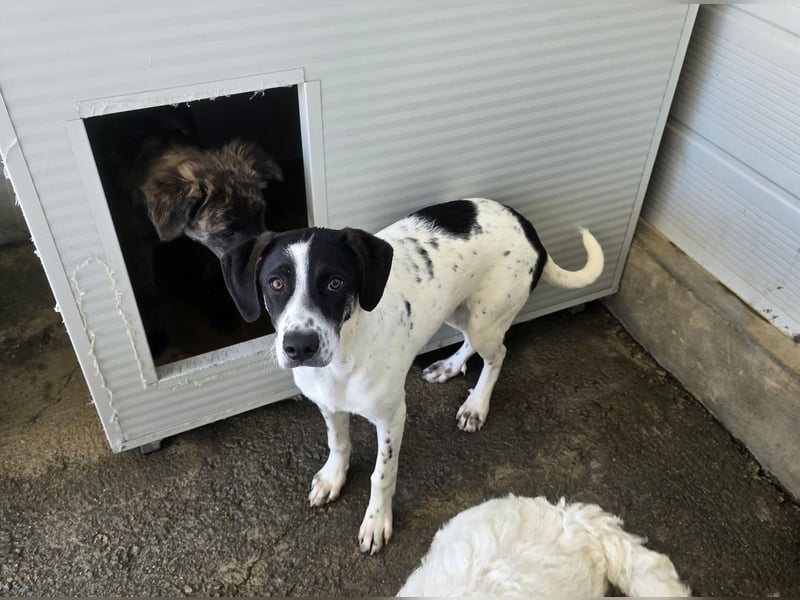 Castagna: sehnt sich nach Freiheit