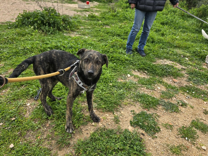 Frieda: ein Schatz für "überall mit dabei"