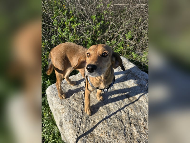 Lilli: sie muss man lieb haben