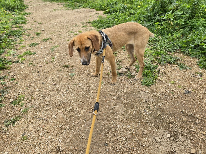 Veneranda: ihr Traum: nie mehr eingesperrt sein