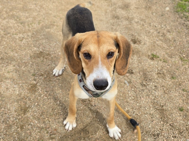 Venere - braucht ganz viel Geborgenheit