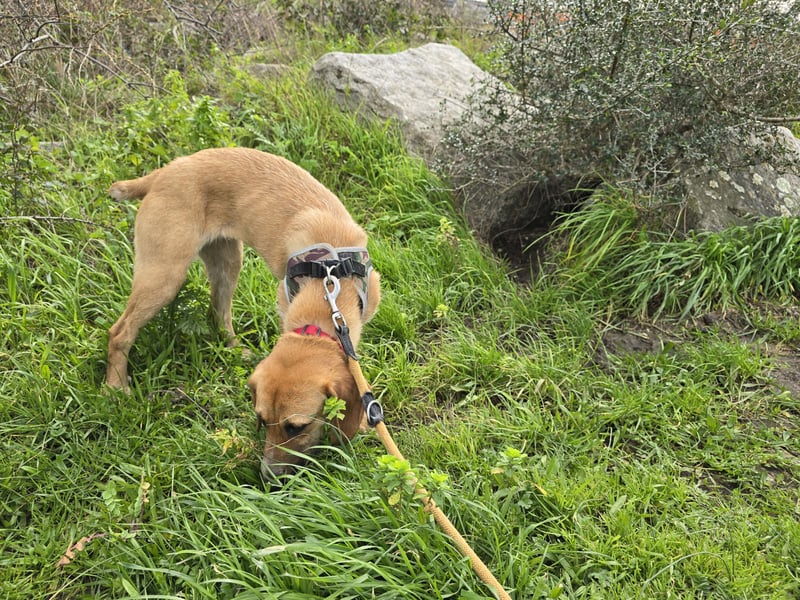 Veneranda: ihr Traum: nie mehr eingesperrt sein