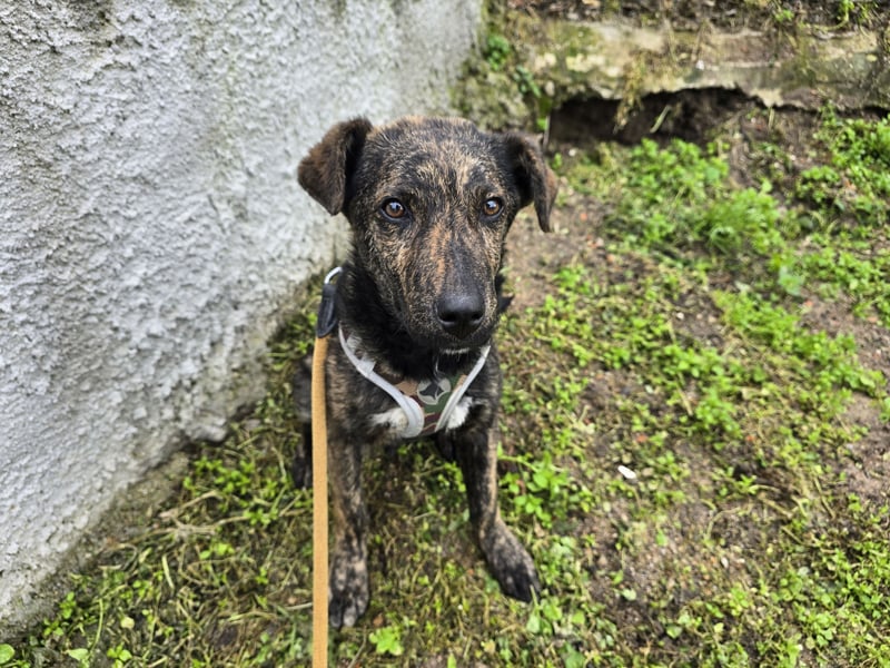 Frieda: ein Schatz für "überall mit dabei"